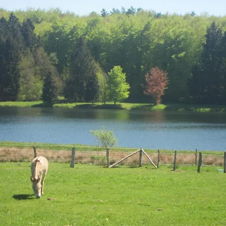 Lovely Holiday In With Jacuzzi Feriehus Bastogne